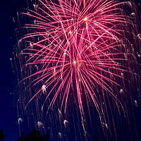 Feuerwerk zum Sommerfest 97688 Bad Kissingen Bild Nr.4