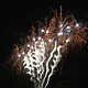 brillantes Feuerwerk 97688 Bad Kissingen Bild Nr. 14