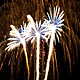 romantisches Feuerwerk 97688 Bad Kissingen Bild Nr. 8