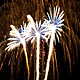 Feuerwerk Thüringen Bild Nr. 7